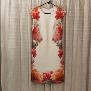 Calvin Klein dress size 2